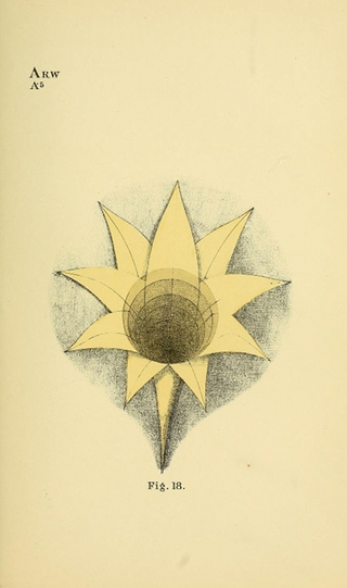 Illustration for article titled These 19th-century diagrams were one man's attempt to illustrate human consciousness